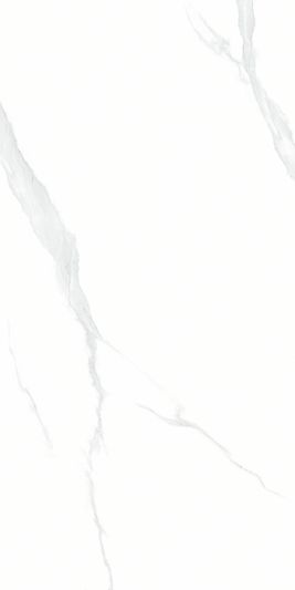 Керамогранит NTT9106 Statuario 60 x 120 Полированный