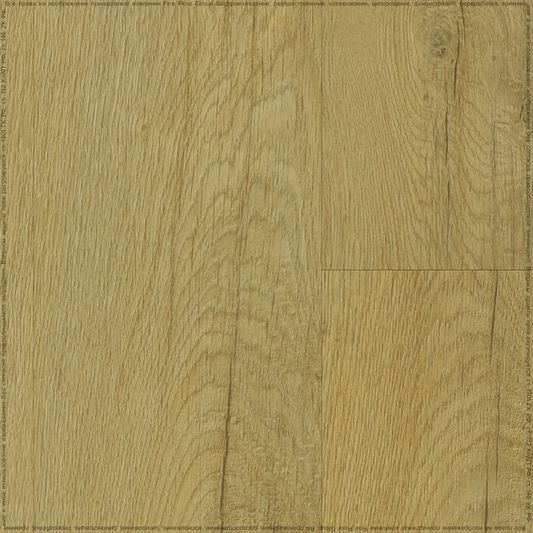 Виниловая плитка Fine Floor - Rich Дуб Олиб (FF-2095 2024)