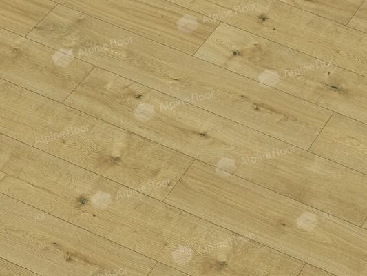 SPC ламинат Alpine Floor - ProNature Nore (61865)