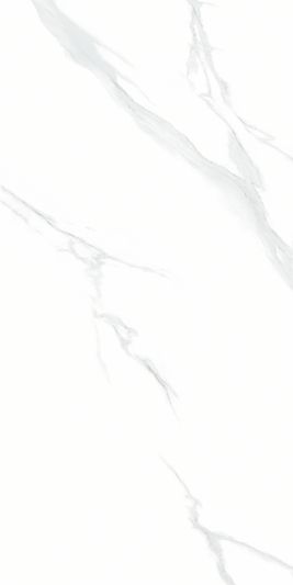 Керамогранит NTT9106 Statuario 60 x 120 Полированный
