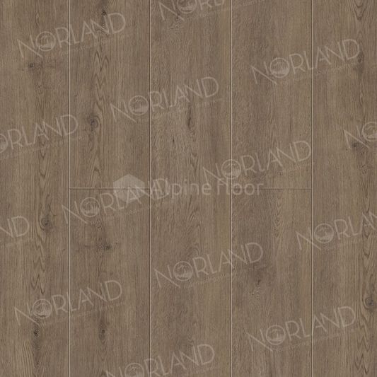 SPC ламинат Norland - Sigrid Plus Flosi (1006-3 У)