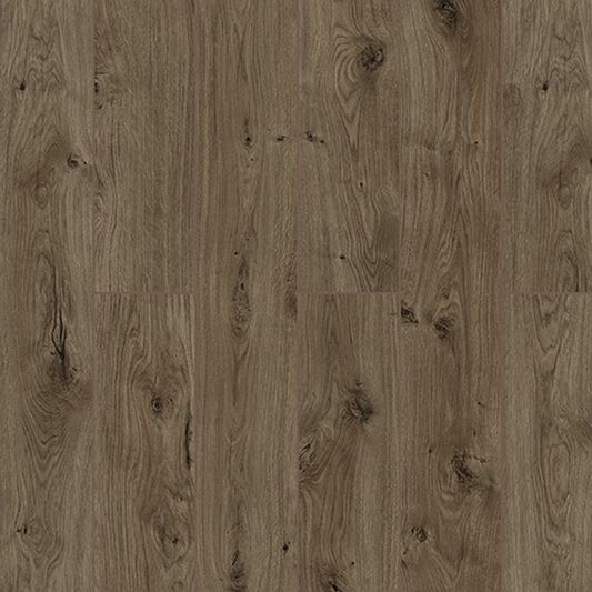 Ламинат Kronostar - Royalife Дуб Рапти (D59807)