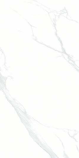 Керамогранит NTT9106 Statuario 60 x 120 Полированный