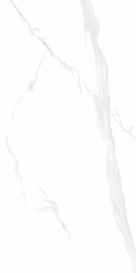 Керамогранит NTT9106 Statuario 60 x 120 Полированный