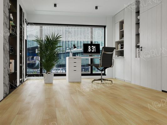 Ламинат Norland Элегантный (Elegant) - Дуб Тасмания (LF301-04)