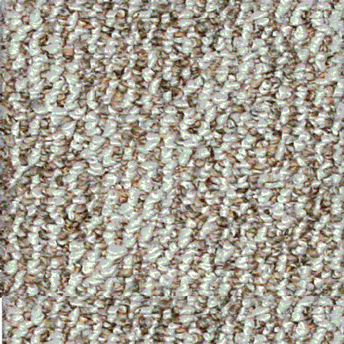 Ковролин Beaulieu of America - South Hampton 5482