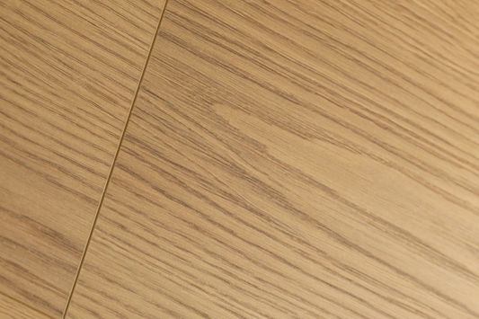 Ламинат Firstfloor - 3D Дуб Новарис | Novaris oak (1F327)