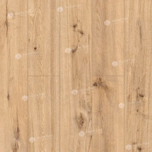 SPC ламинат Alpine Floor - ProNature Oak Poprad (64634)