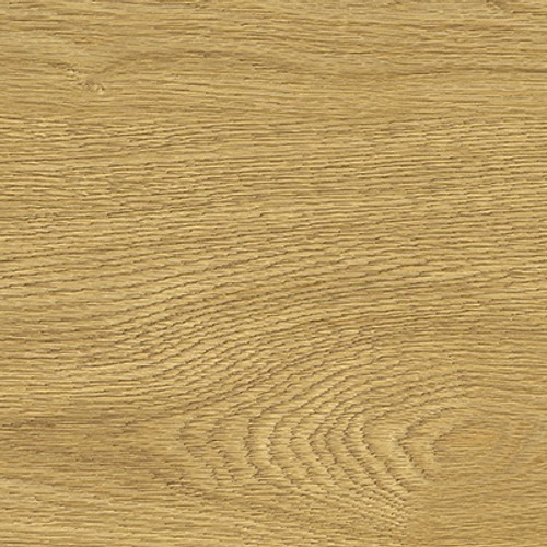 Пробковый пол Corkstyle - Wood XL Oak deluxe клеевой