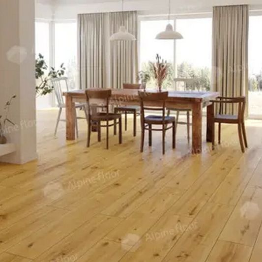 SPC ламинат Alpine Floor - ProNature Soledad (62538)