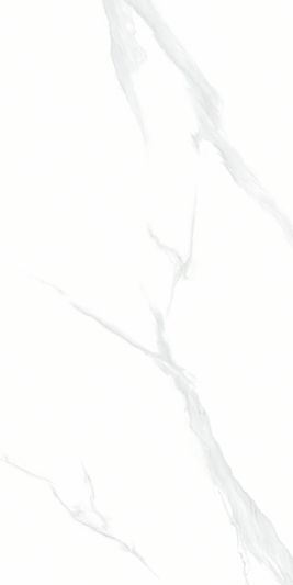 Керамогранит NTT9106 Statuario 60 x 120 Полированный