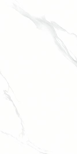 Керамогранит NTT9106 Statuario 60 x 120 Полированный