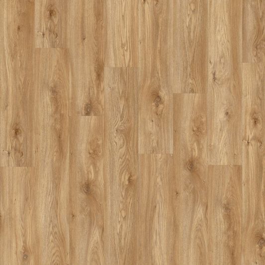 Виниловая плитка Moduleo - Roots EIR Sierra Oak (58346Q)