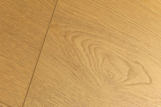 Ламинат Firstfloor - 3D Дуб Элкат | Eclat oak (1F322)